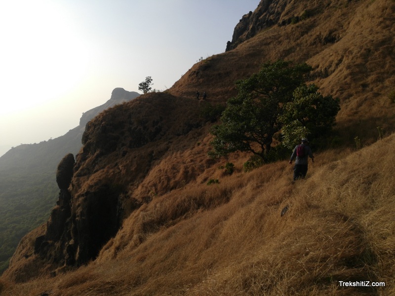 Madhu makarandgad